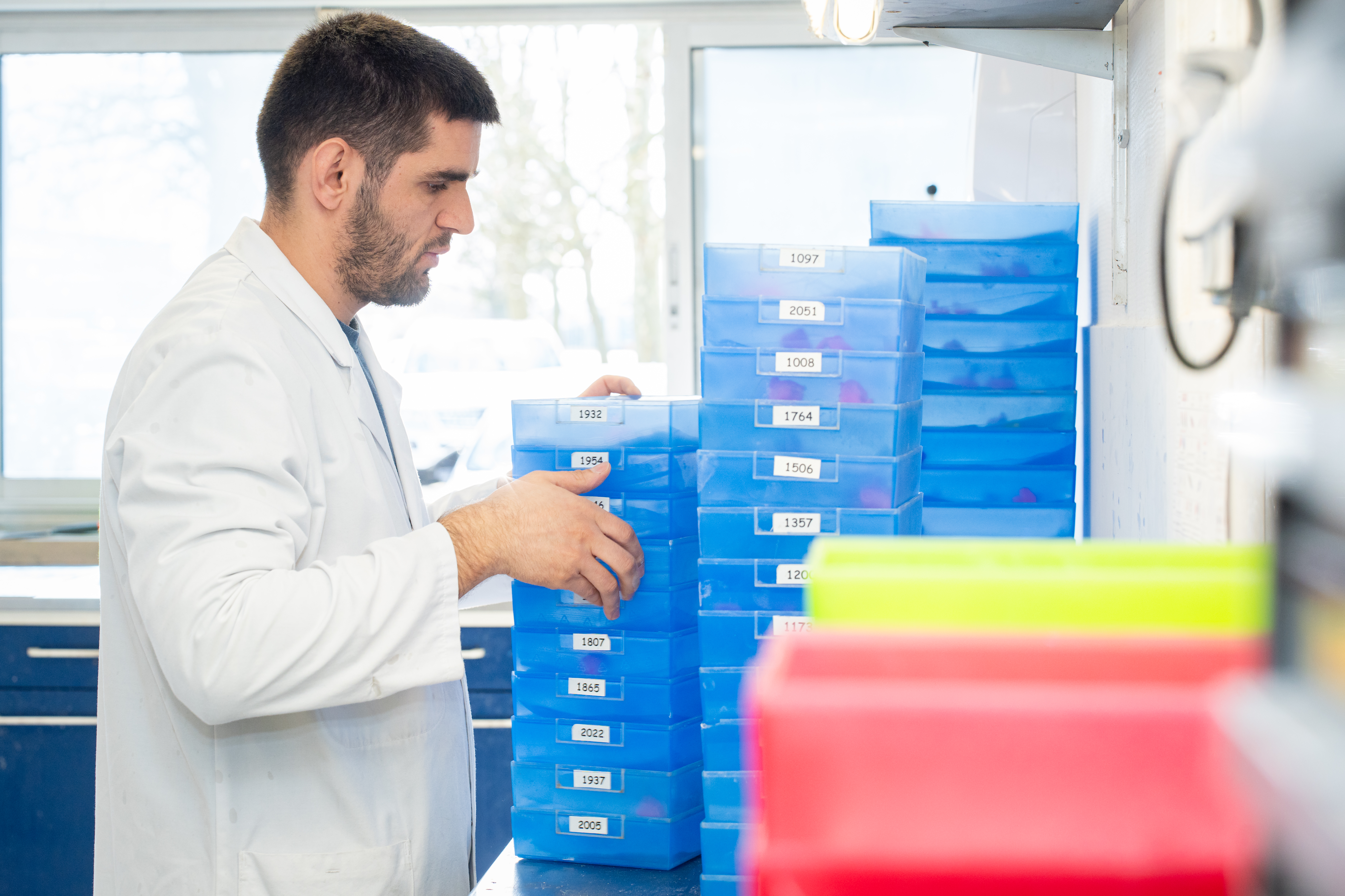 Création du laboratoire LNEA