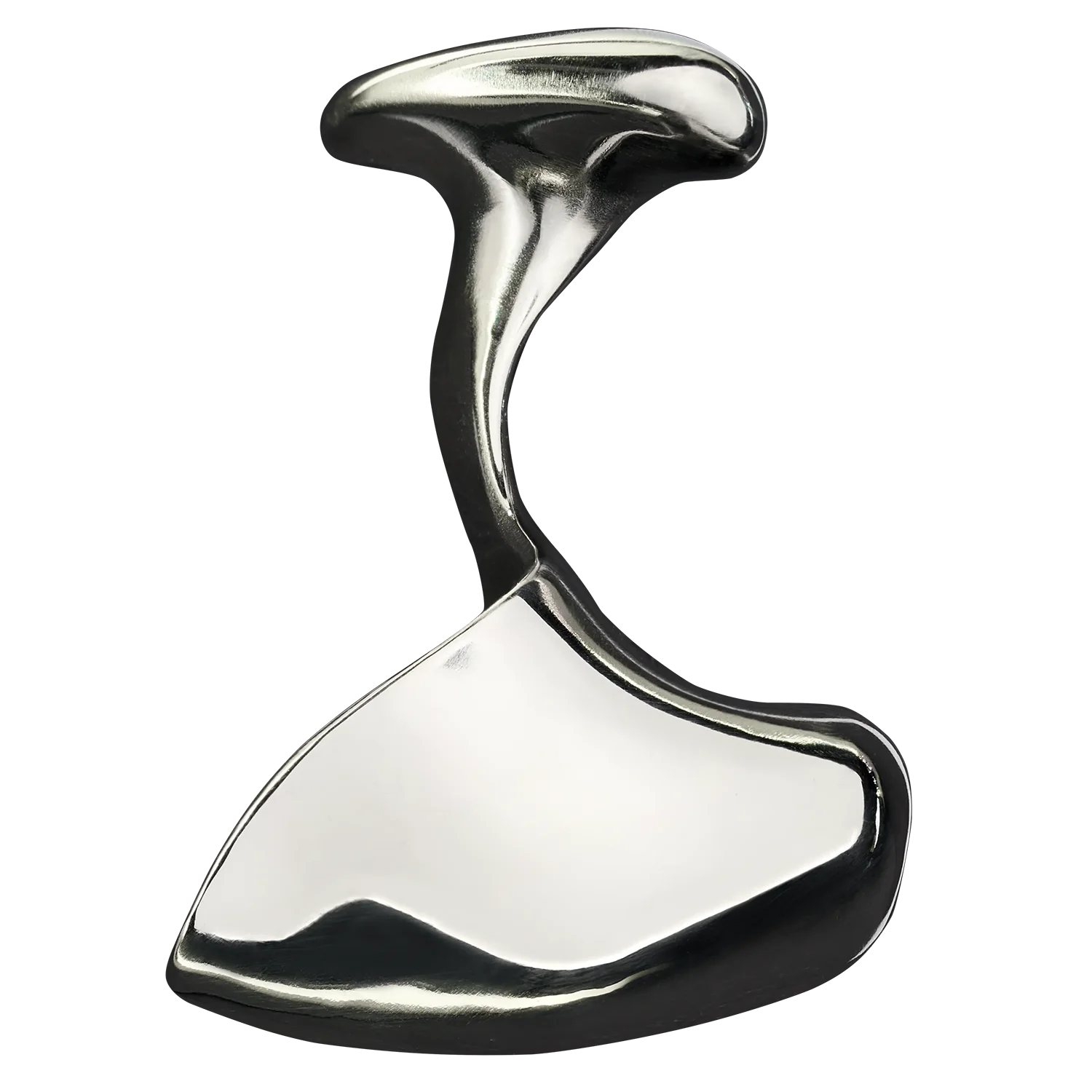 Embout titane silver